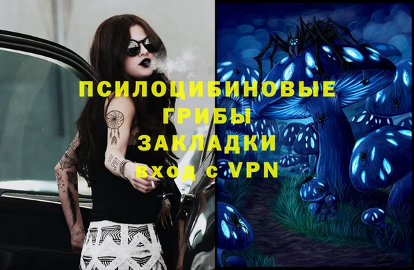 эйфоретик Алексин