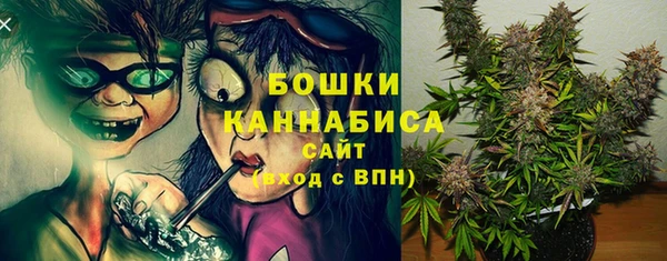 гидра Протвино